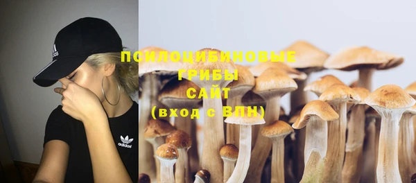 ECSTASY Александровское