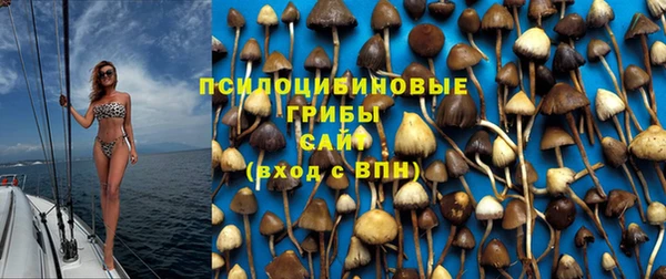 ALPHA PVP Гусиноозёрск