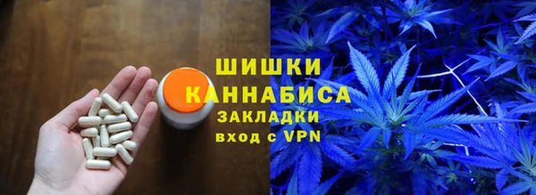 крисы Надым