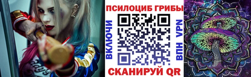 Галлюциногенные грибы Psilocybine cubensis  купить  цена  Очёр 